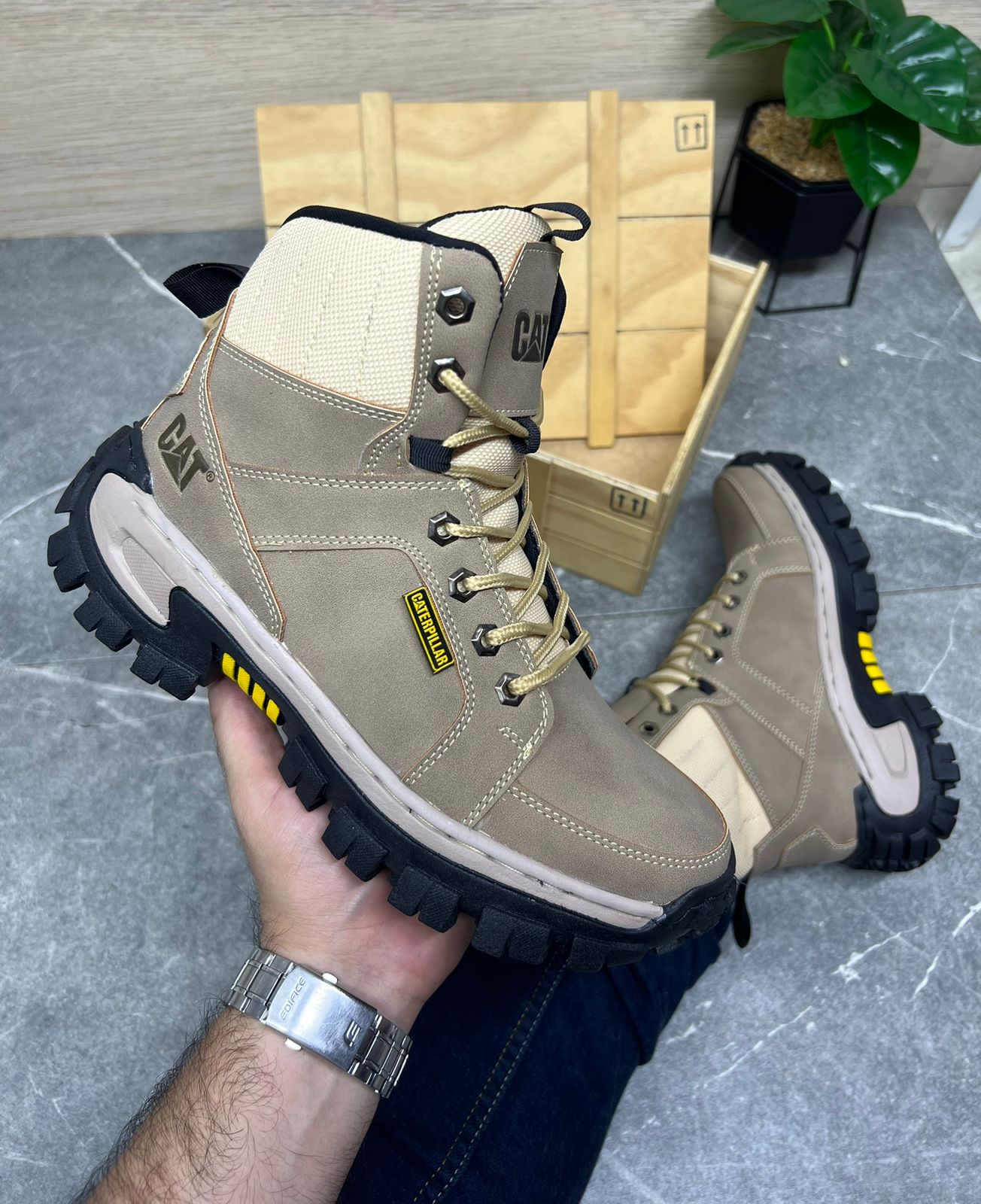 COLECCIÓN BOTA CAT CU + CAJA